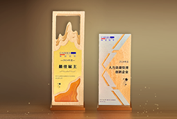 BG大游集团国际一举斩获“2024年度中国区最佳雇主”等多项大奖